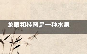 龙眼和桂圆是一种水果吗 龙眼和桂圆是不是一种水果(龙眼和桂圆是一个水果吗图片)